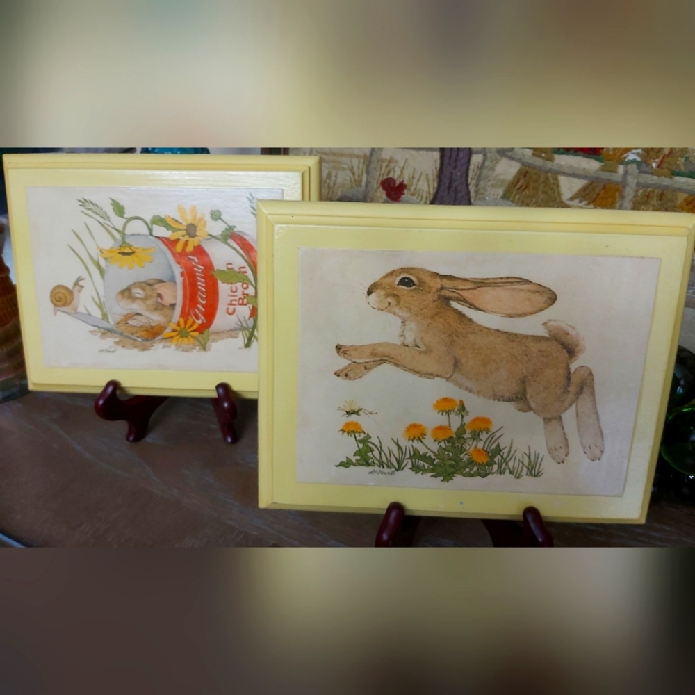 Bunny pictures